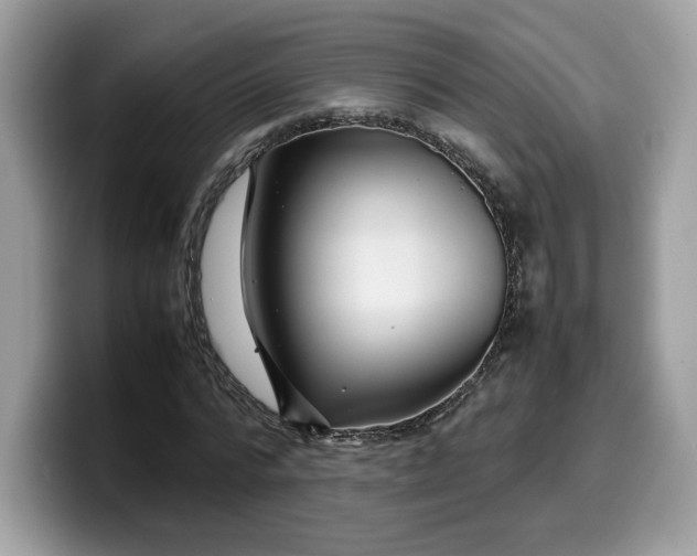 X0000099570776200805301540