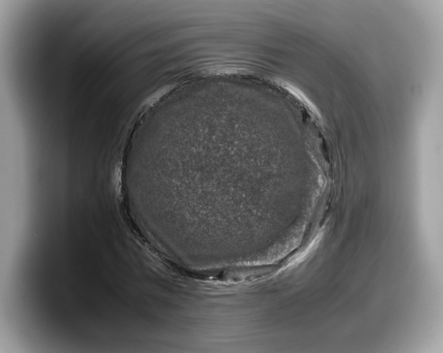 X0000099570777200805301540