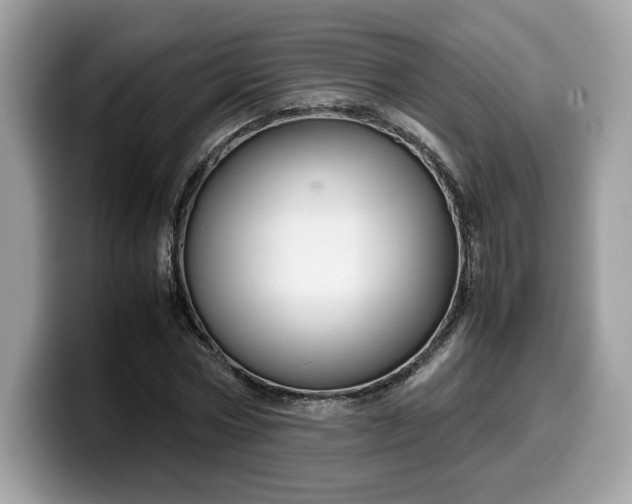 X0000099570778200805301540