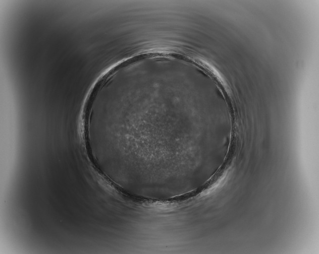 X0000099570779200805301540