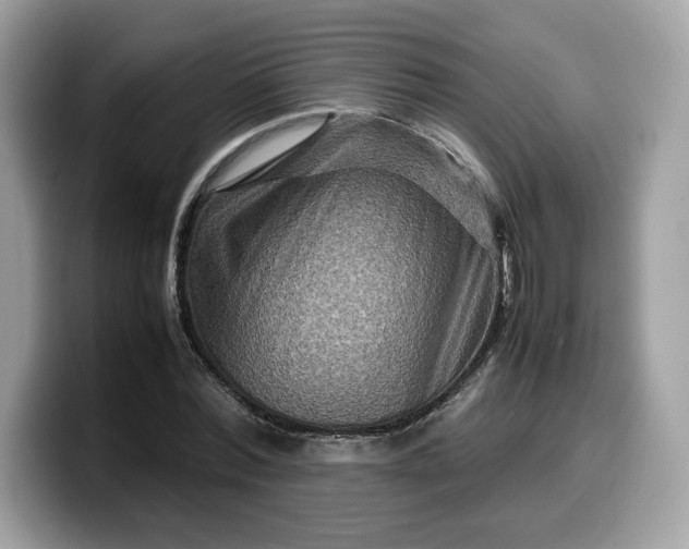 X0000099570780200805301540