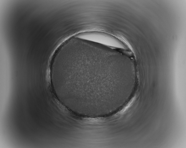 X0000099570781200805301540