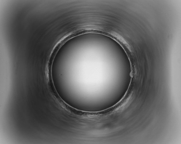 X0000099570782200805301540
