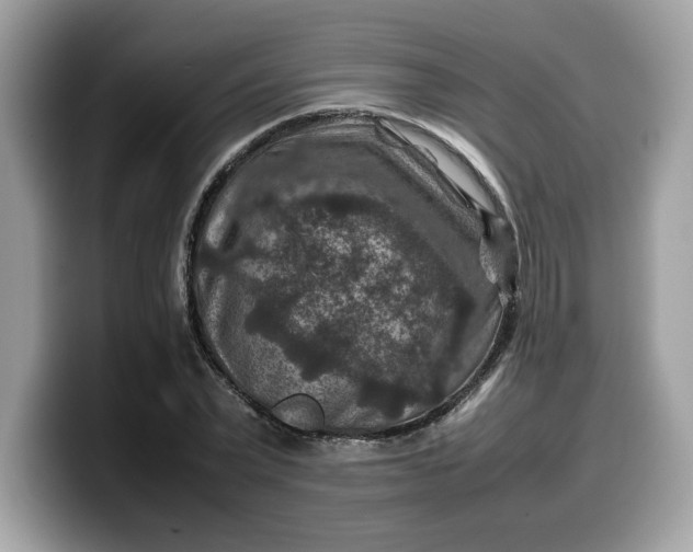 X0000099570783200805301540
