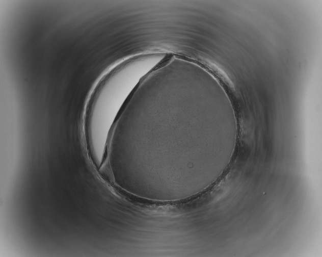 X0000099570784200805301540
