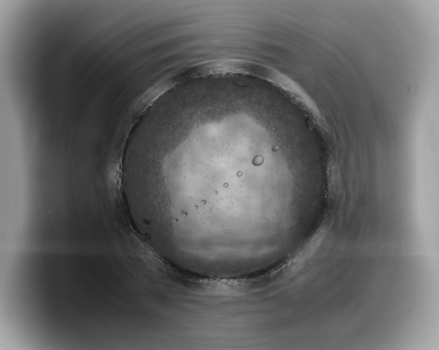 X0000099570785200805301540