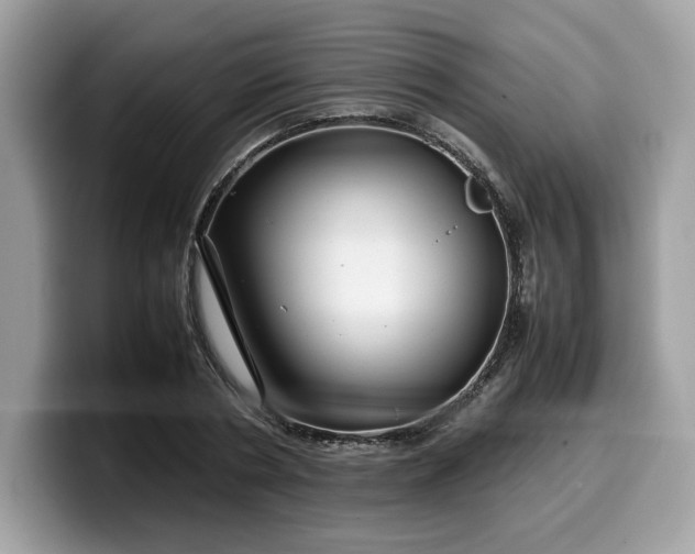 X0000099570786200805301540