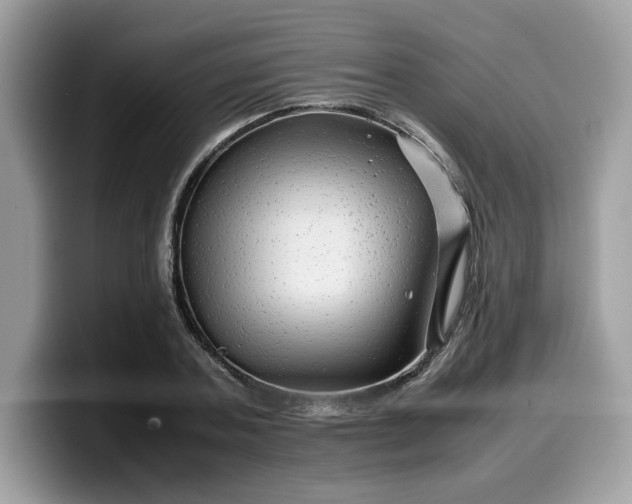 X0000099570787200805301540