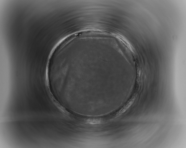 X0000099570788200805301540