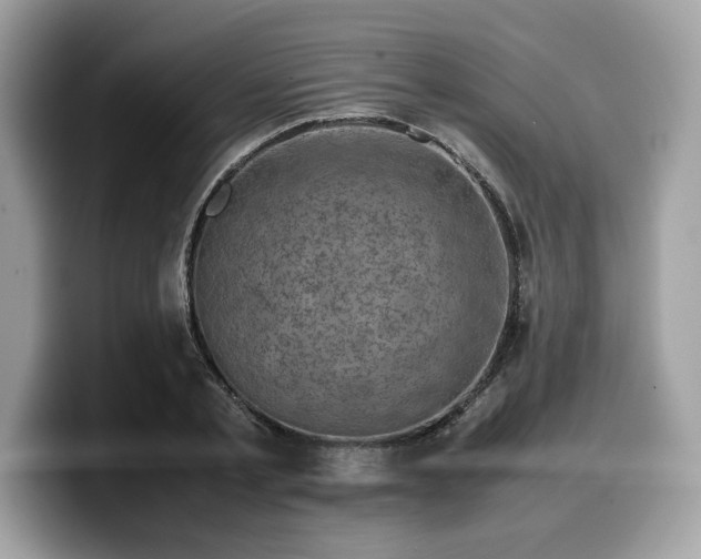 X0000099570789200805301540