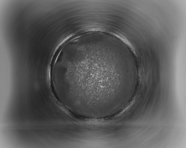 X0000099570790200805301540