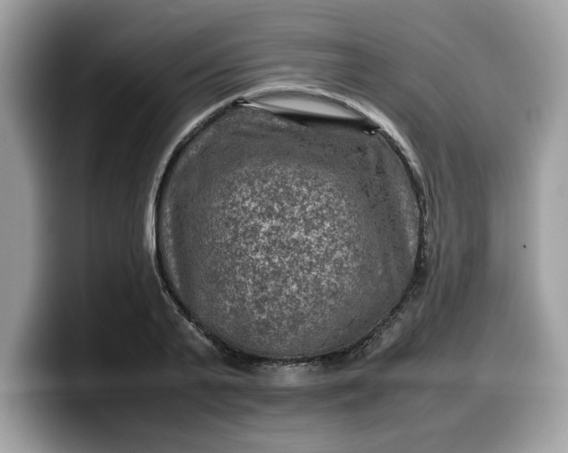 X0000099570791200805301540