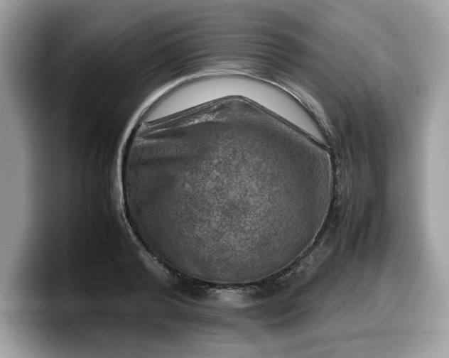 X0000099570792200805301540