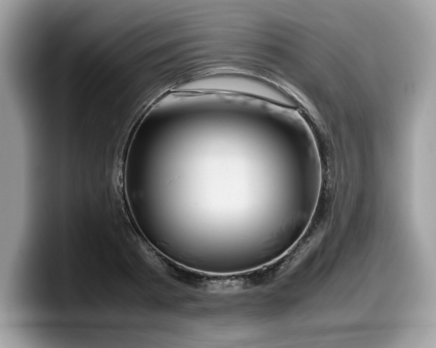 X0000099570793200805301539