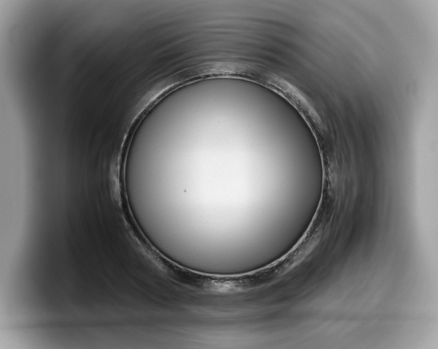 X0000099570794200805301539