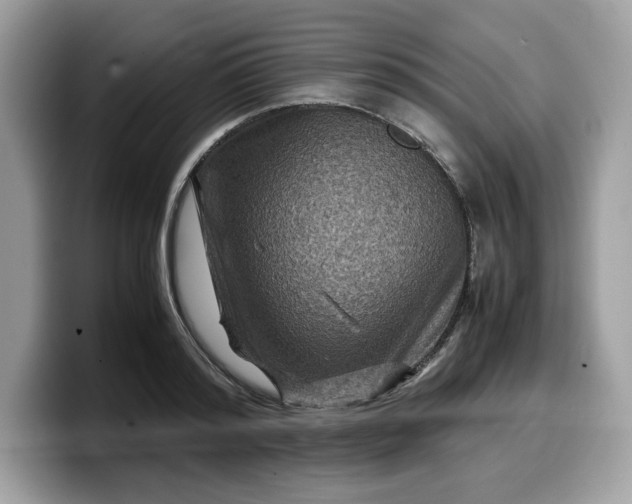 X0000099570796200805301539