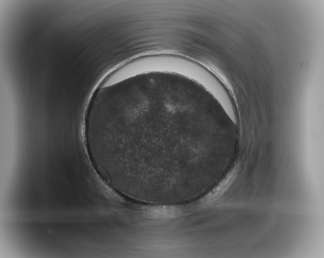 X0000099570797200805301539