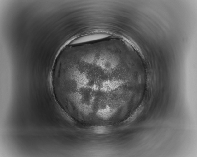 X0000099570798200805301539