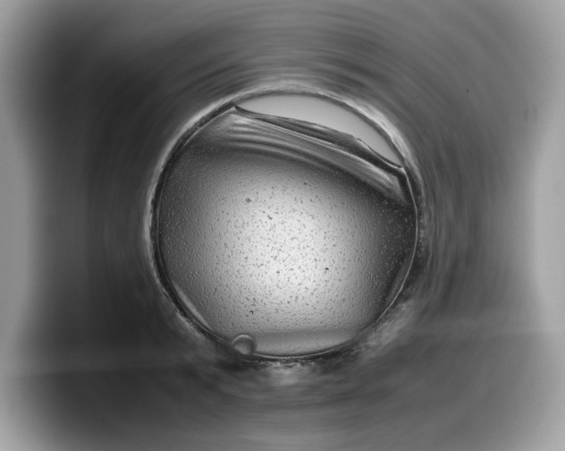 X0000099570799200805301539