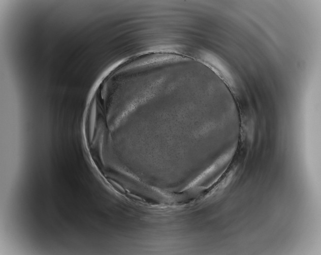 X0000099570804200805301539