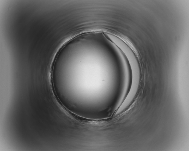 X0000099570805200805301539