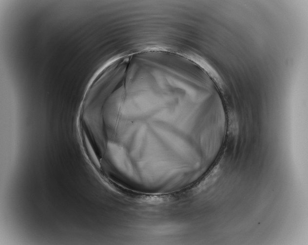 X0000099570806200805301539