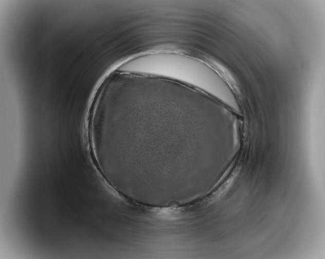 X0000099570808200805301539