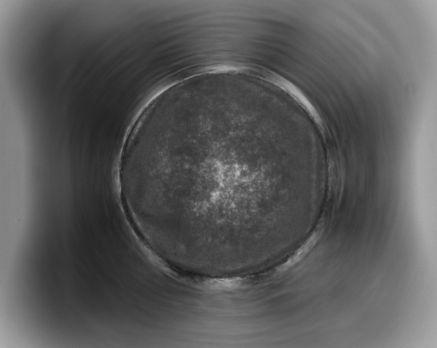 X0000099570810200805301539