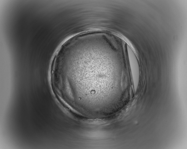 X0000099570811200805301539