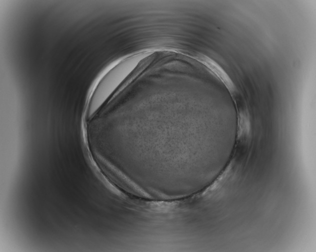 X0000099570812200805301539