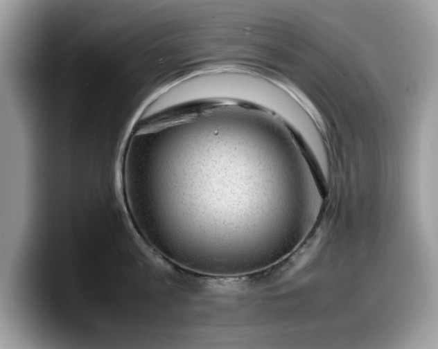 X0000099570813200805301539