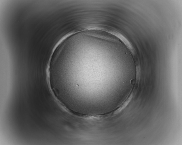 X0000099570814200805301539