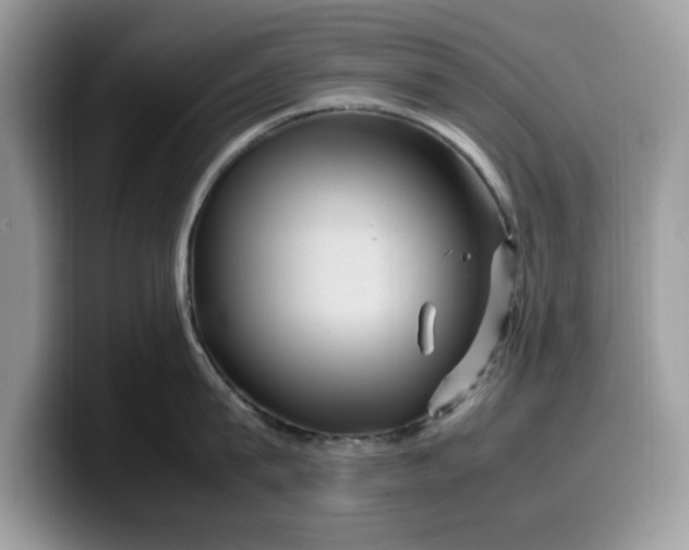 X0000099570815200805301539