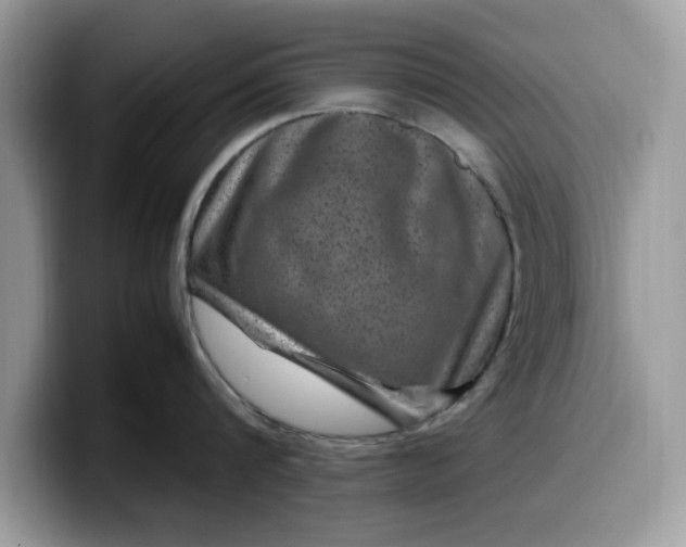 X0000099570816200805301539