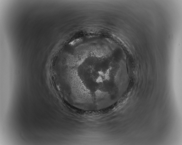 X0000099570817200805301539