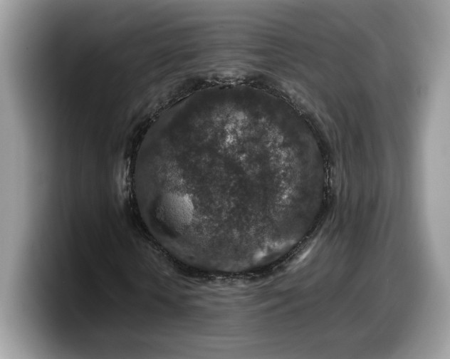X0000099570818200805301539