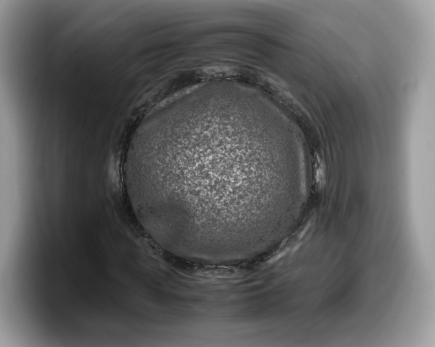 X0000099570819200805301539