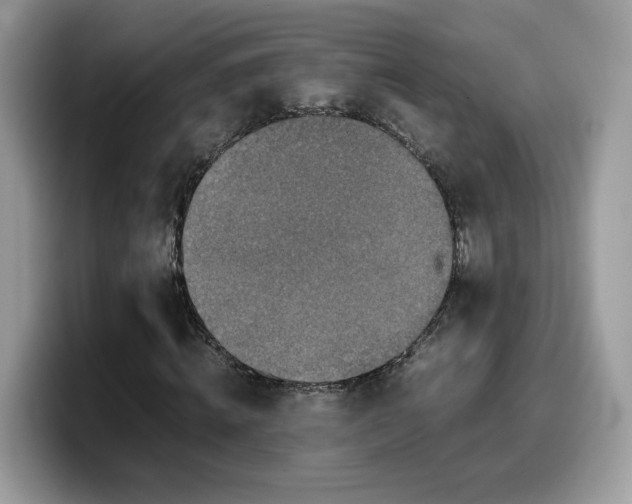 X0000099570820200805301539