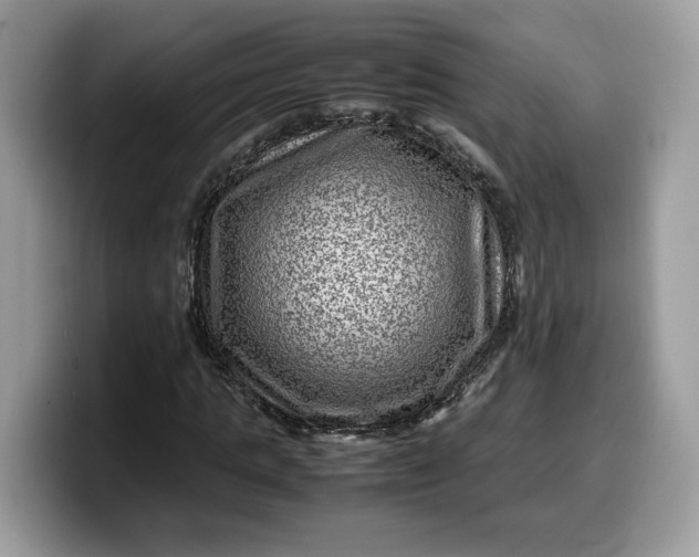 X0000099570821200805301539