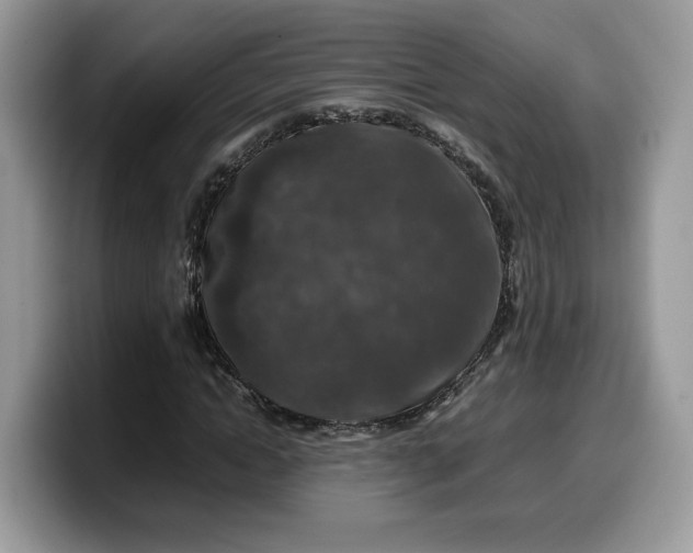 X0000099570822200805301539