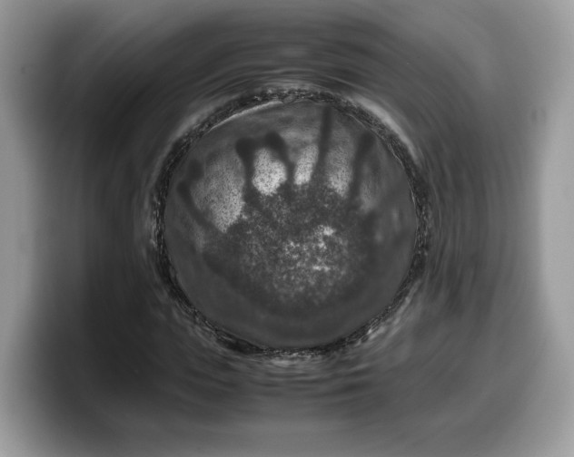 X0000099570823200805301539
