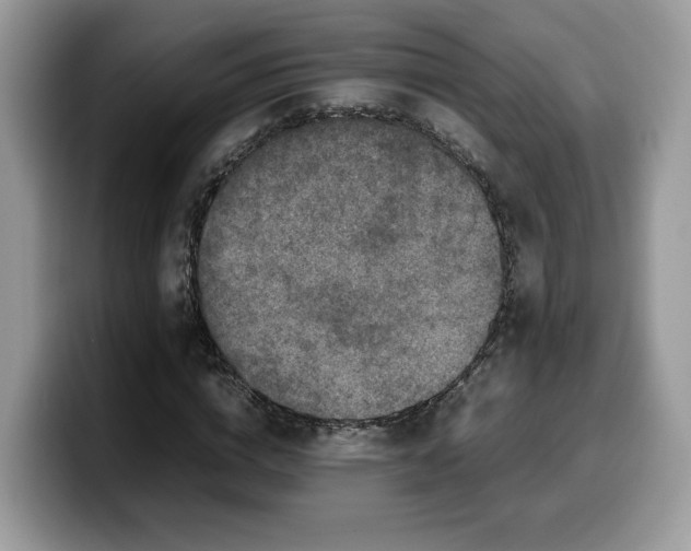 X0000099570824200805301539