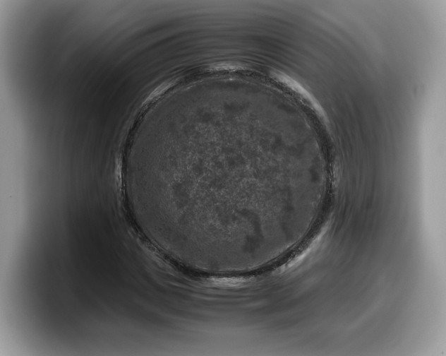 X0000099570825200805301539