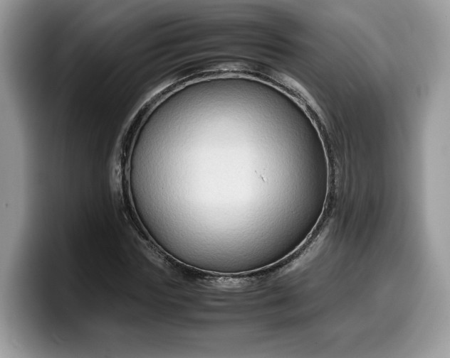 X0000099570827200805301539