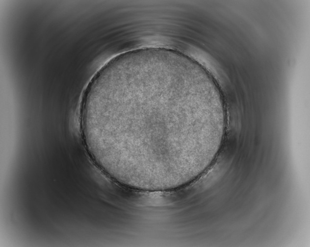 X0000099570828200805301539