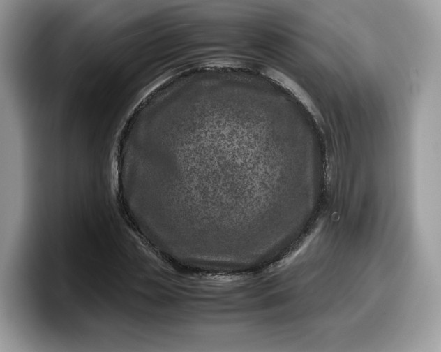 X0000099570829200805301539