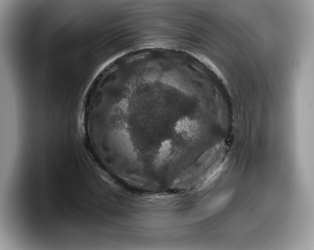 X0000099570830200805301539