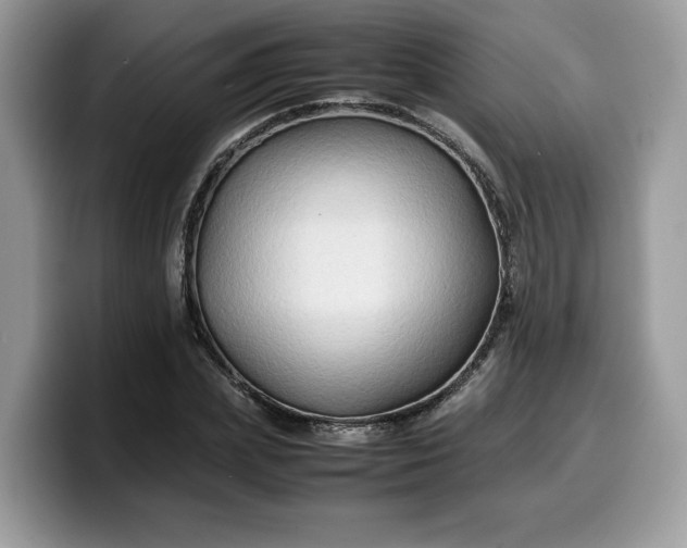 X0000099570831200805301539