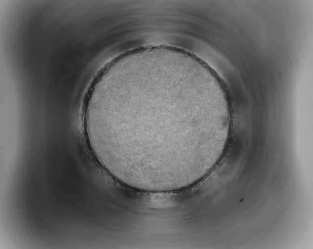 X0000099570832200805301539