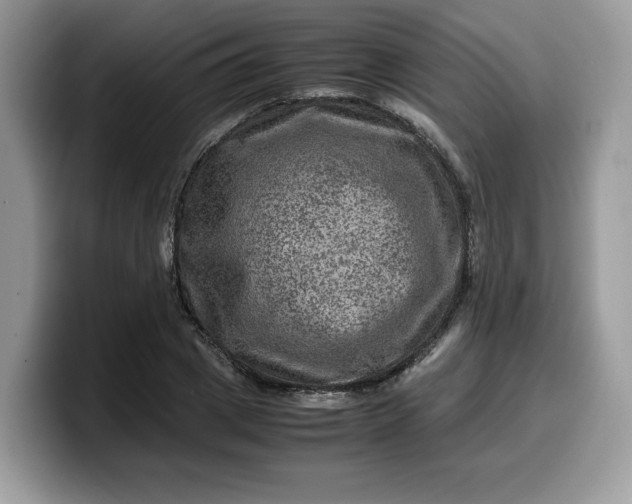 X0000099570833200805301539